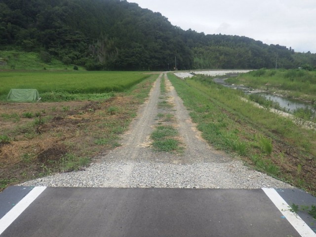 終点側（堤防除草完了）