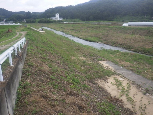 川袋橋から（除草完了）